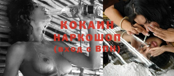 стаф Липки