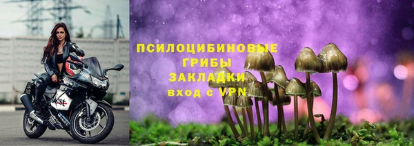 стаф Липки