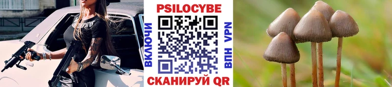 Галлюциногенные грибы мицелий  наркотики  Комсомольск-на-Амуре 
