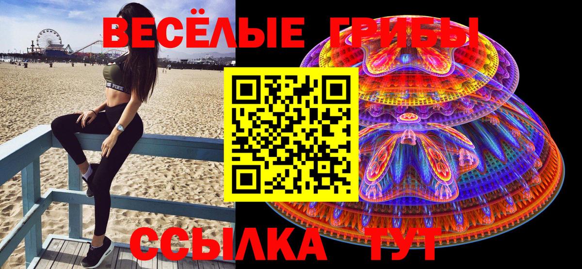 где можно купить   Псилоцибиновые грибы MAGIC MUSHROOMS  Вход с VPN  Комсомольск-на-Амуре  Псилоцибиновые грибы Cubensis 